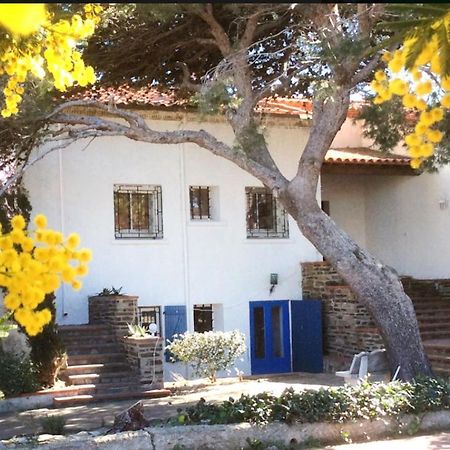 Villa Bleue - Les Pins Пор-Вандр Екстер'єр фото