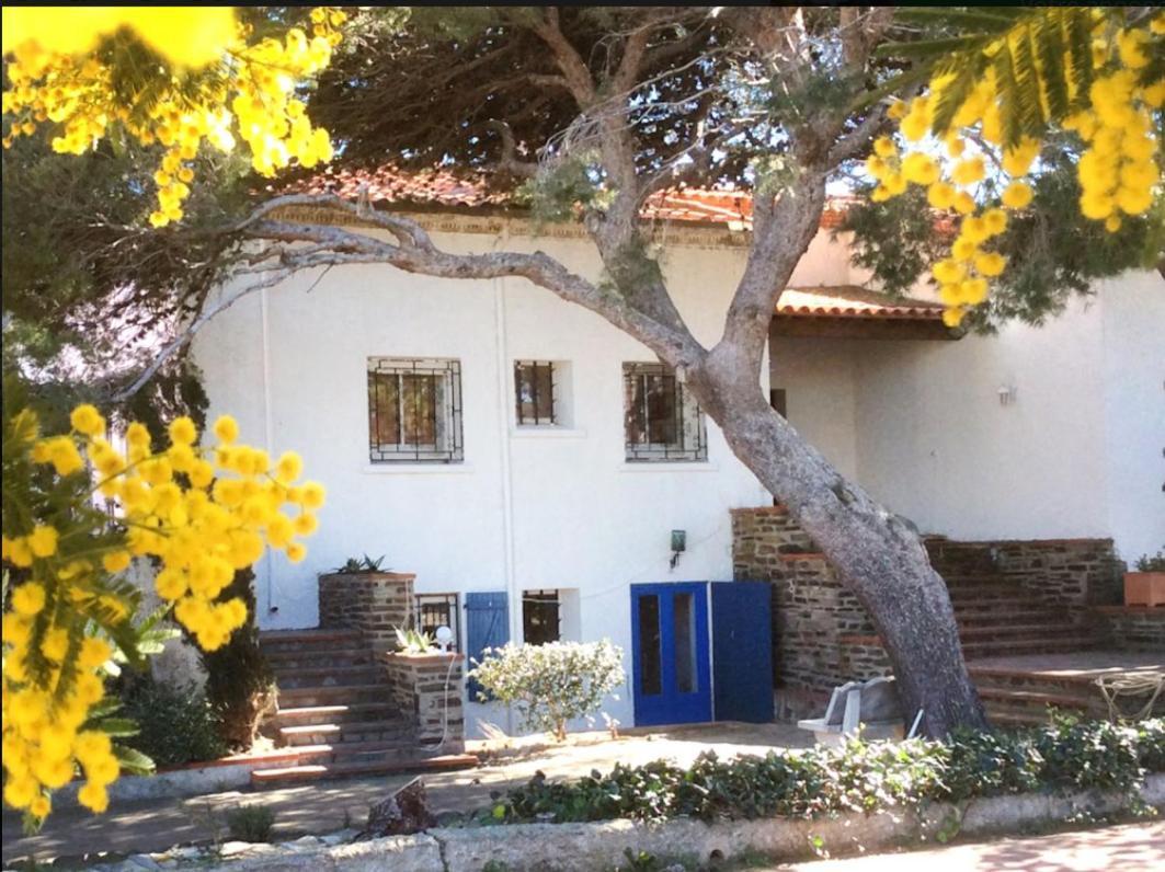 Villa Bleue - Les Pins Пор-Вандр Екстер'єр фото