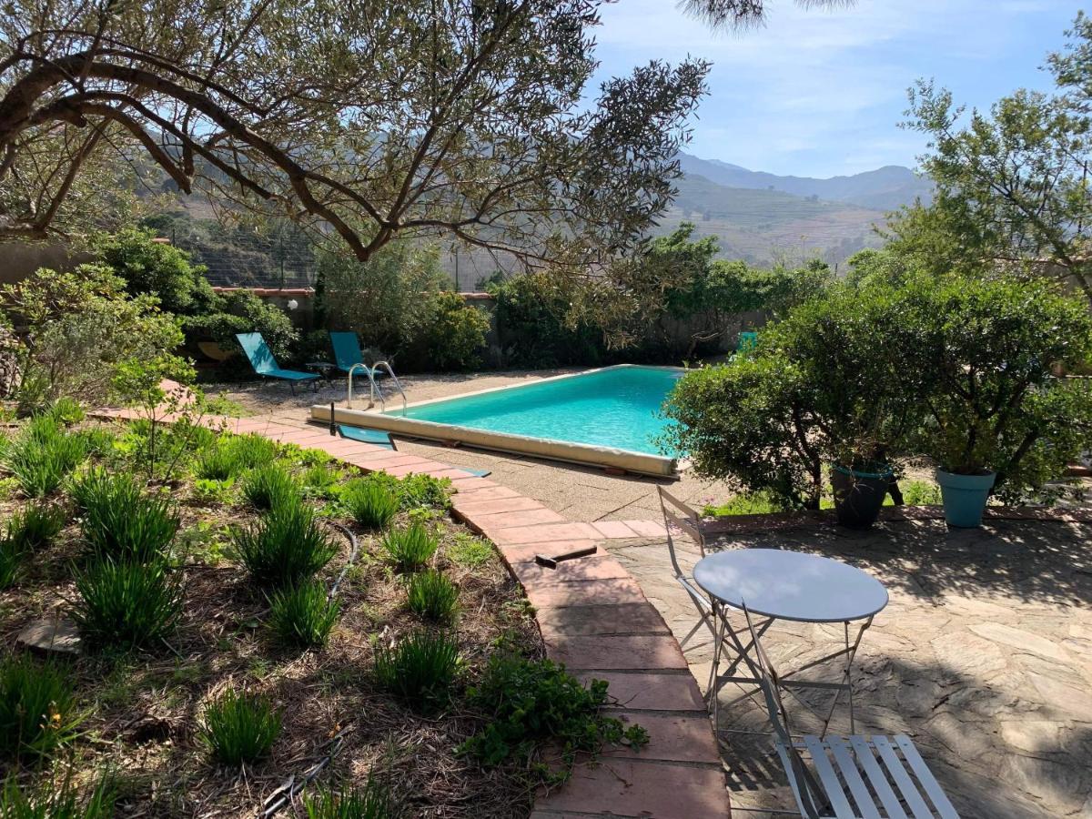 Villa Bleue - Les Pins Пор-Вандр Екстер'єр фото