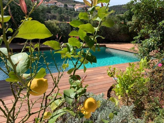 Villa Bleue - Les Pins Пор-Вандр Екстер'єр фото